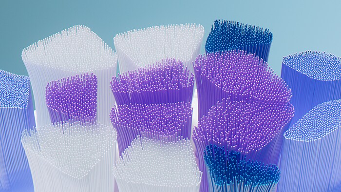 gentle plus brush head asset4