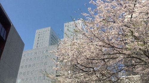 View of two tall buildings from the ground