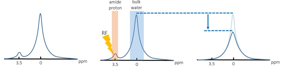 図1.CEST/APTの基本原理　対象のproteinの量 image