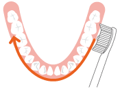 電動歯ブラシを歯に沿って滑らかに動かす様子