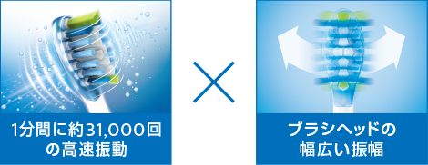 毎分約31,000回の高速振動と、ブラシヘッドの幅広い振幅