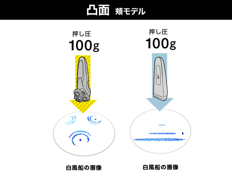 凸面頬モデル