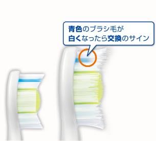 青色のブラシ毛が白くなったら交換のサイン