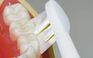 ソニッケアー 使い方 -  歯と歯ぐきの境目