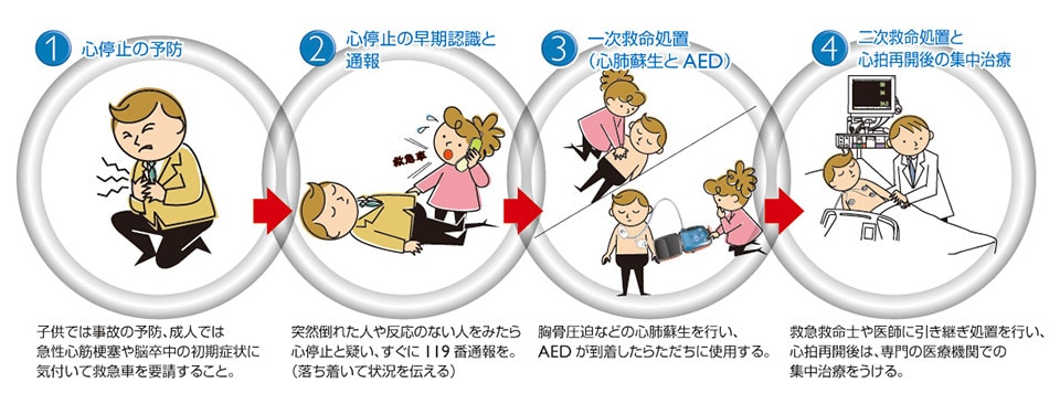 (1) 心停止の予防　(2) 心停止の早期認識と通報　(3) 一次救命処置（心肺蘇生とAED）　(4) 二次救命処置と心拍再開後の集中治療