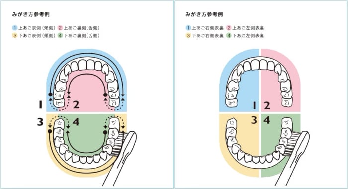 oralcare blog nagoyagrampus asset5